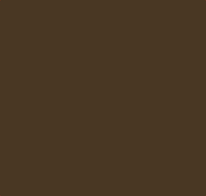 1 Litre Paint – Fiat Brown – Bare Co B6974 – Tractor Enamel - Image 2